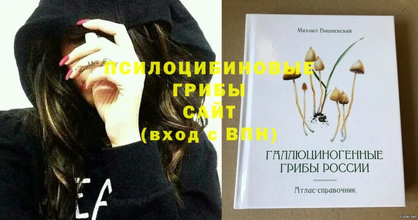 дурь Верхний Тагил
