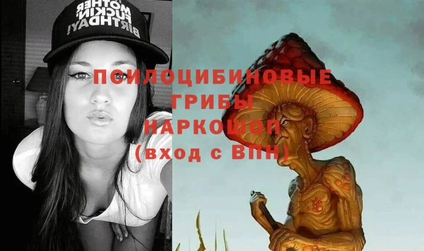 альфа пвп Верхнеуральск