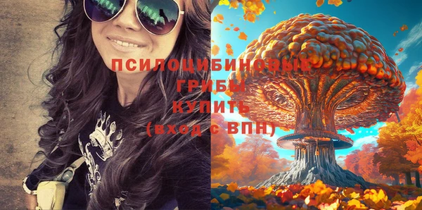 дурь Верея