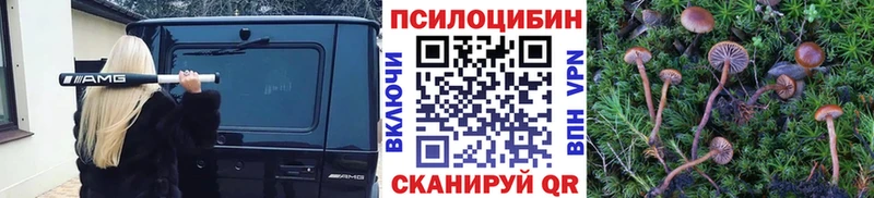 omg рабочий сайт  наркота  Кизел  Галлюциногенные грибы мицелий 