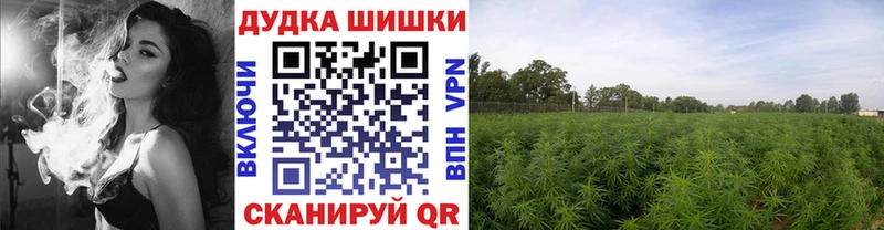 Каннабис Ganja  Кизел 